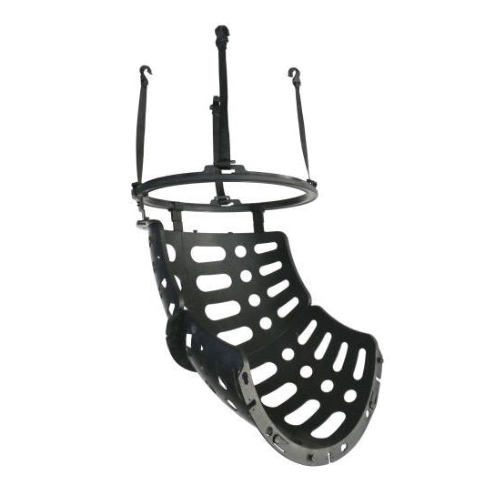 Boll återvänder till basketkorg