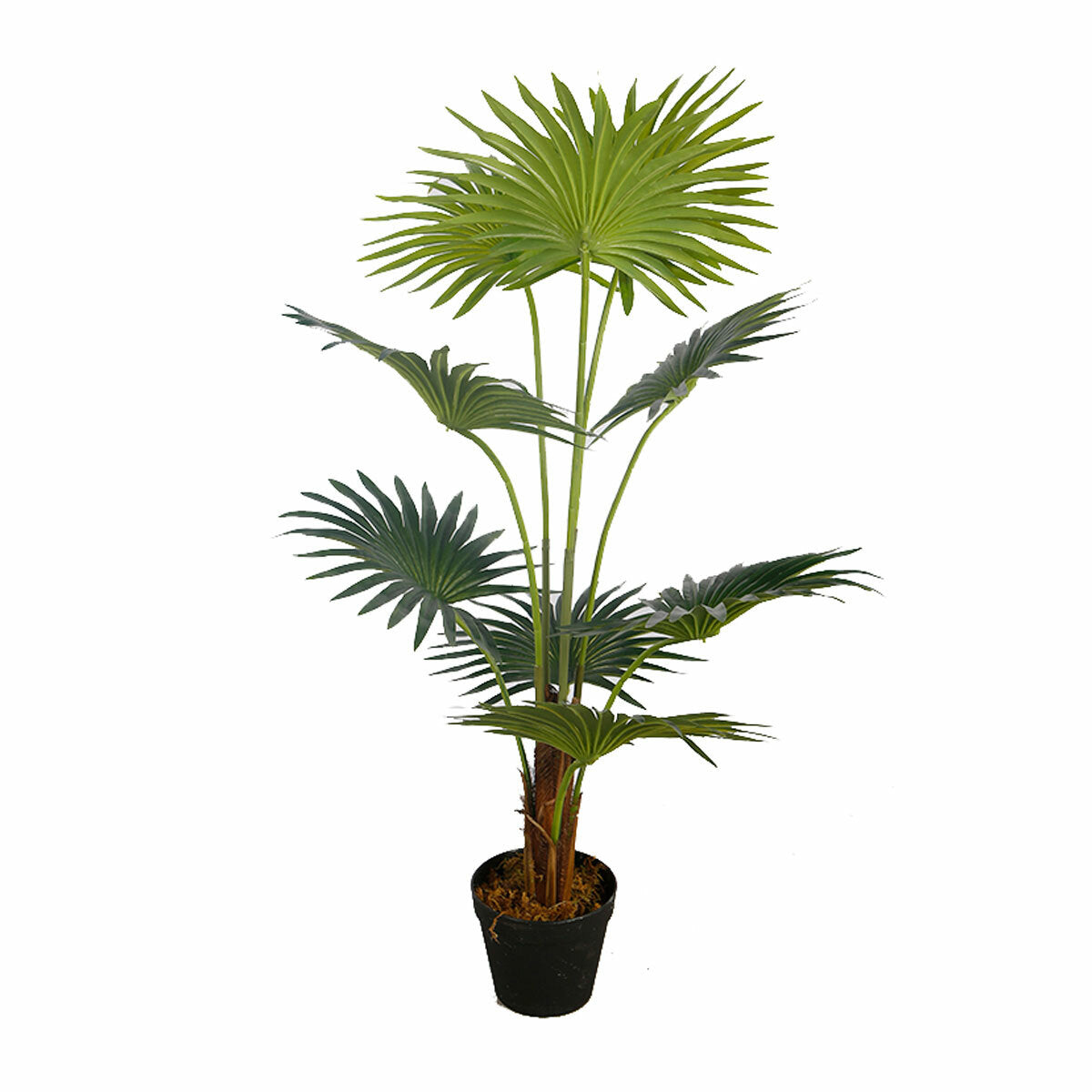 Lykke Konstväxt Fan Palm 100cm