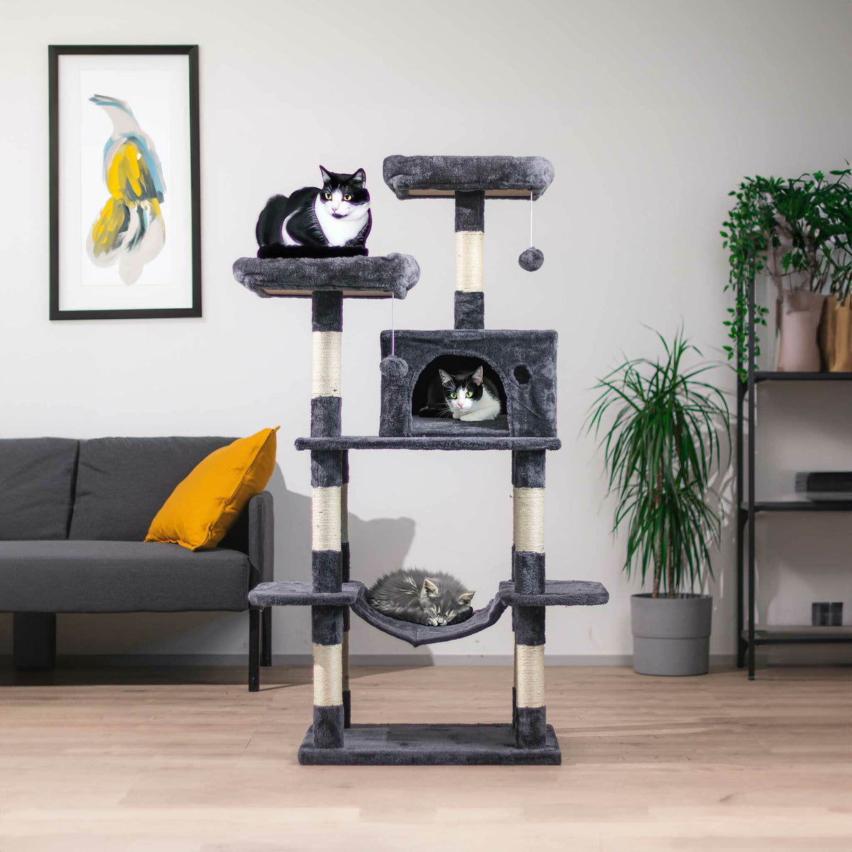 
              Trekker Klösträd Mocha 145cm