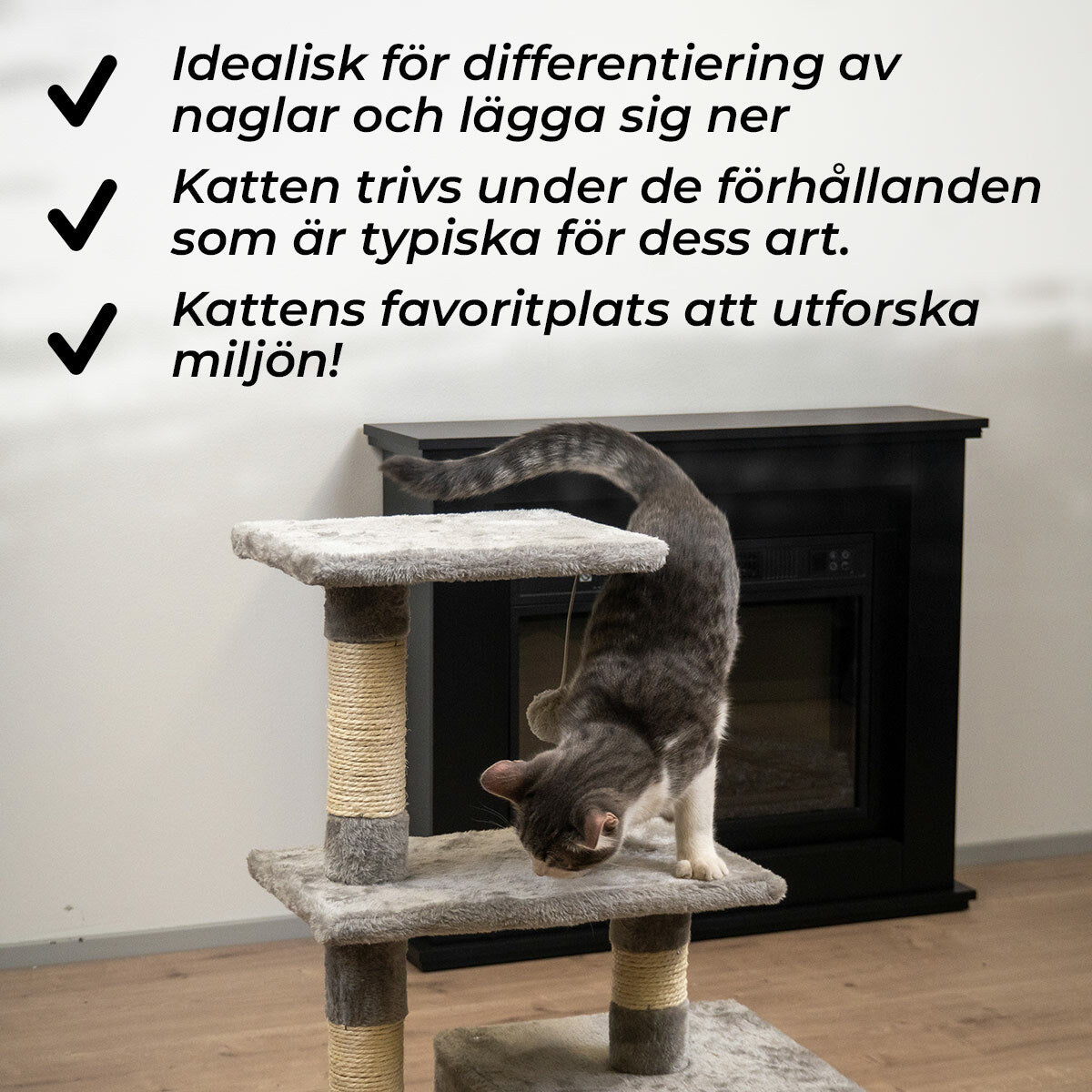 
              Trekker Klösträd Basic 80cm