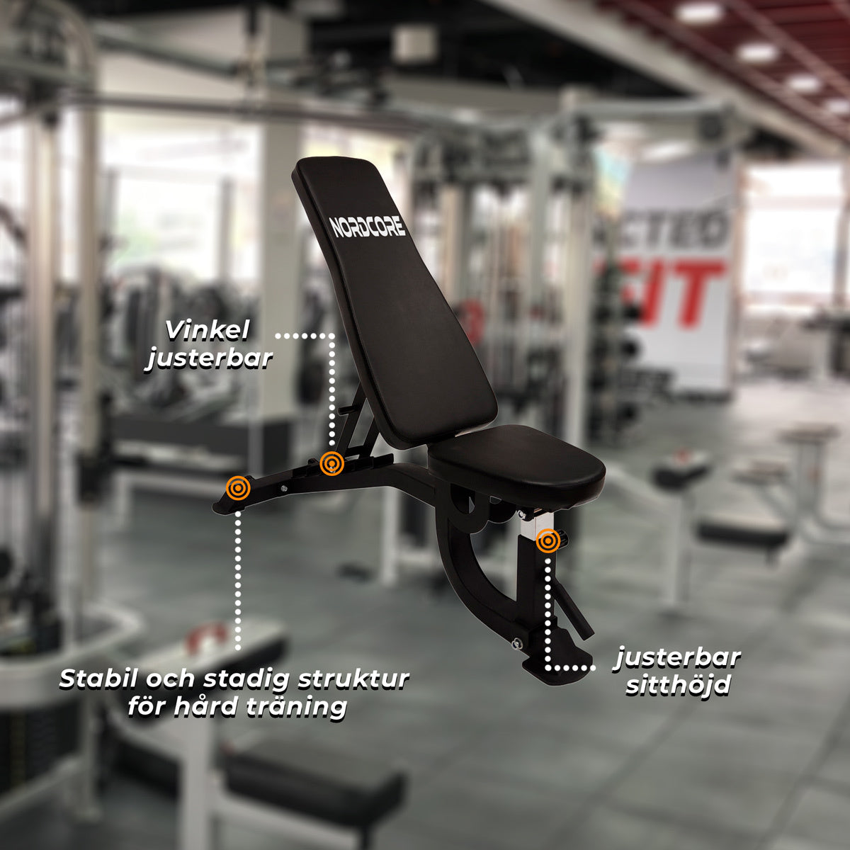 
              Nordcore Träningsbänk Core 1500