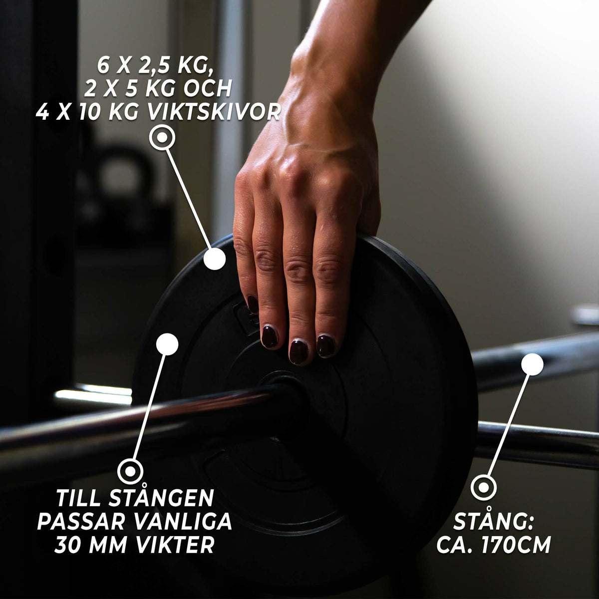 
              Fit`n Shape Skivstångsset 75 kg