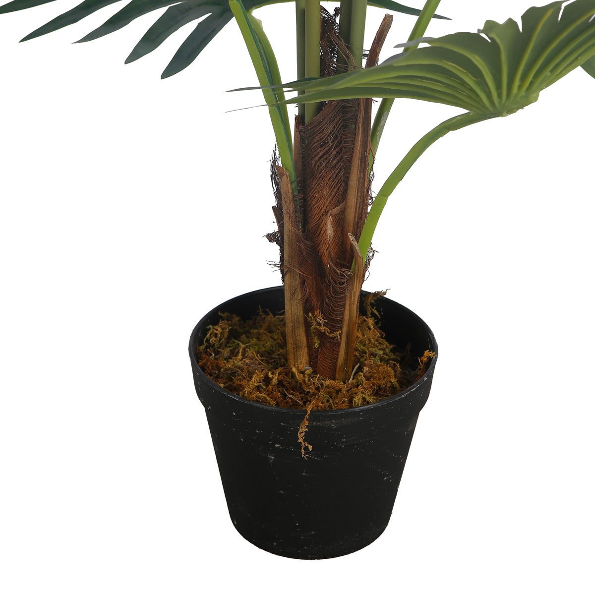 
              Lykke Konstväxt Fan Palm 100cm