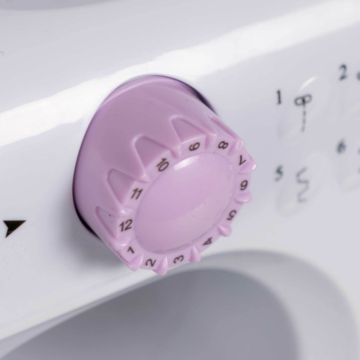 
              Birgitta Standard symaskin