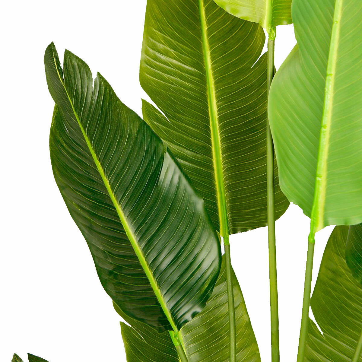 
              Lykke Konstväxt Bird of Paradise 200cm