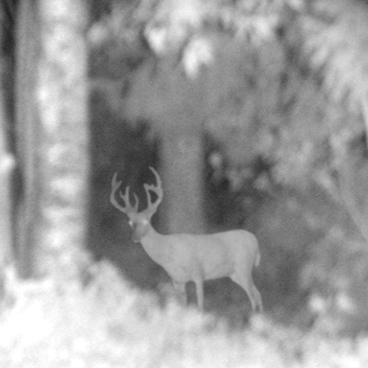 
              Trekker Nattkikare v2