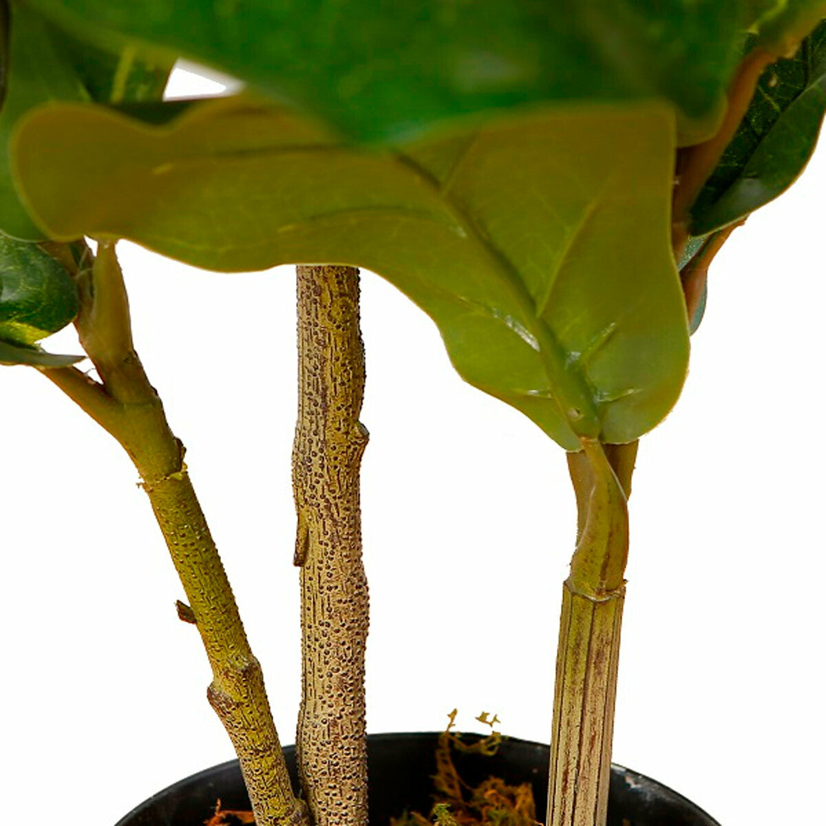 
              Lykke Konstväxt Fiddle-Leaf Fig 85cm