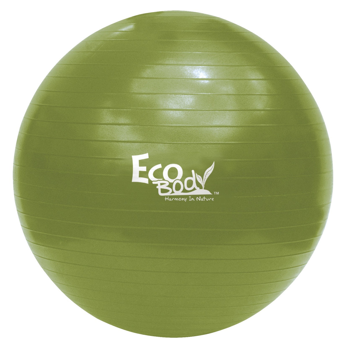 
              Eco Body Gymnastikboll 85cm