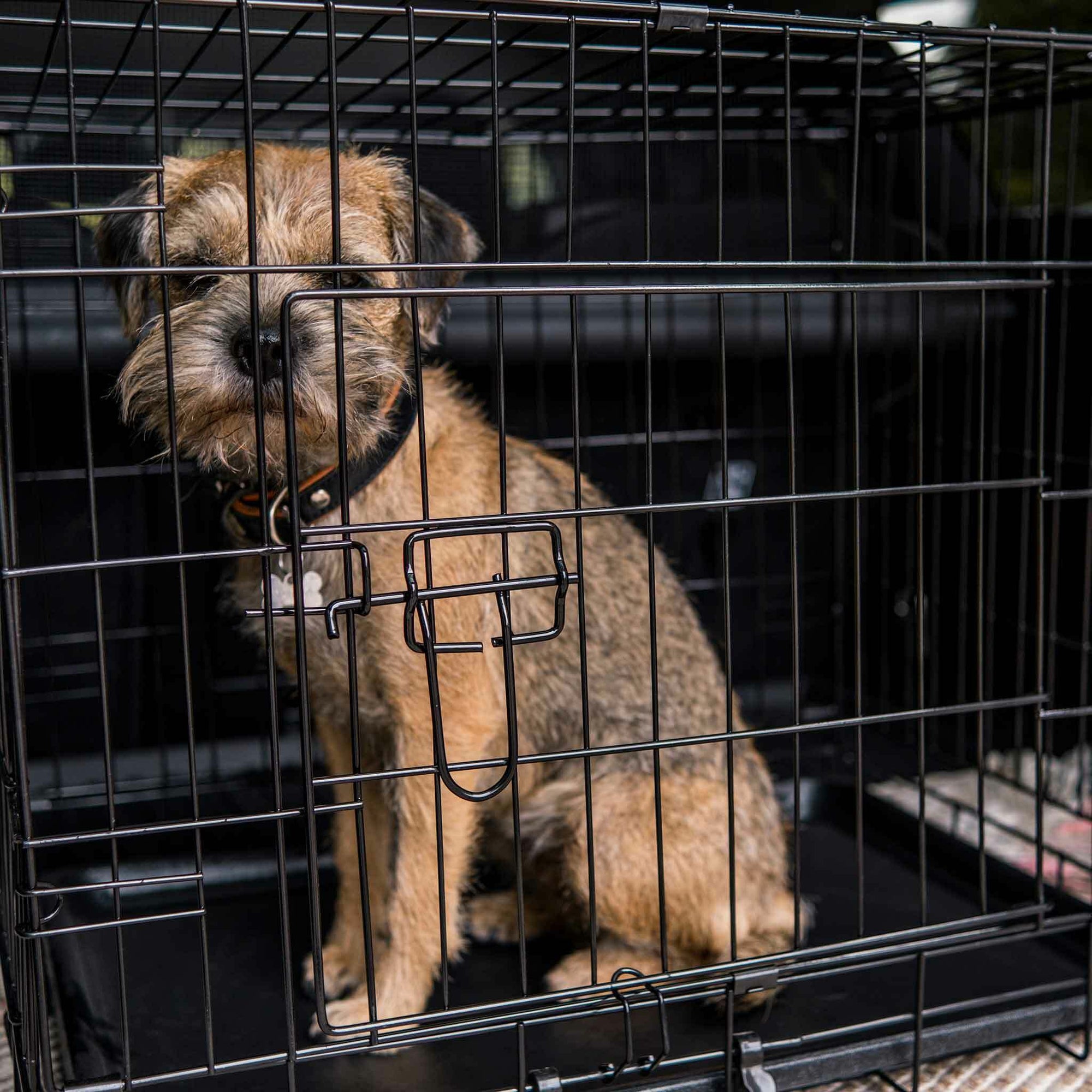 Trekker hundbur lättmetall XXL