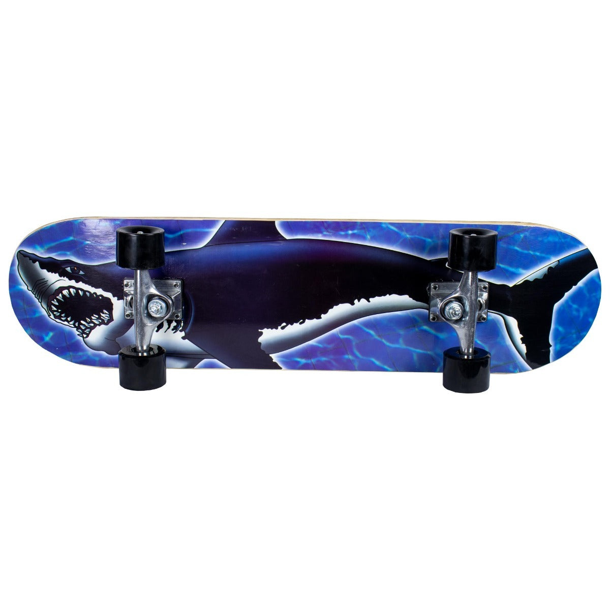 Sandbar skateboard Shark 31X8&quot;