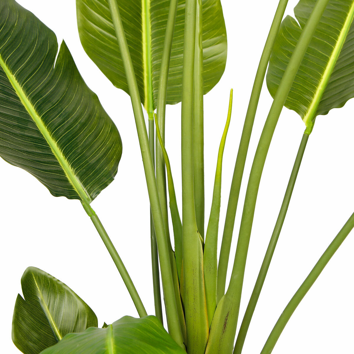 
              Lykke Konstväxt Bird of Paradise 200cm