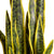 Lykke Konstväxt Snake Plant 65cm