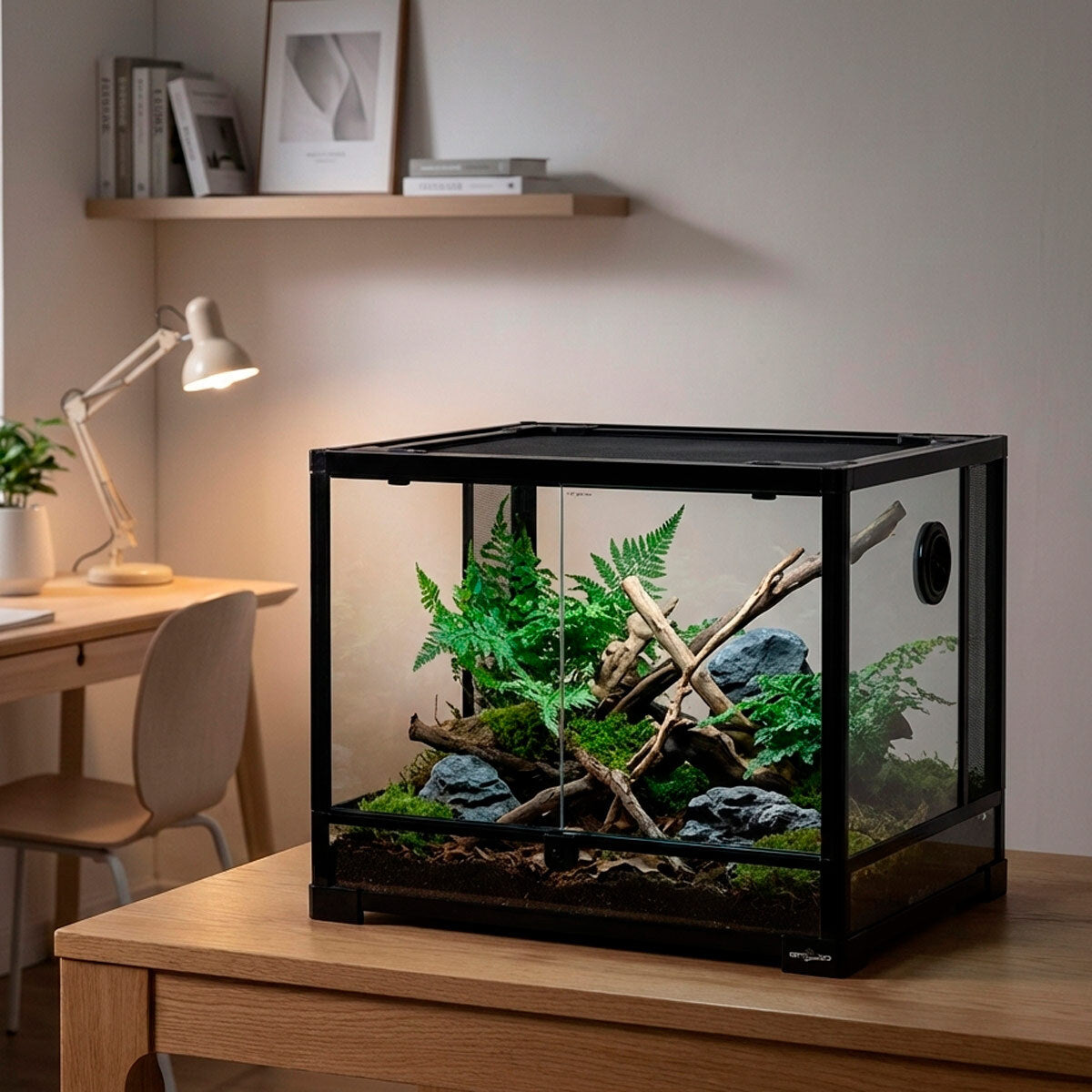 
              Trekker Terrarium 600x450x450mm