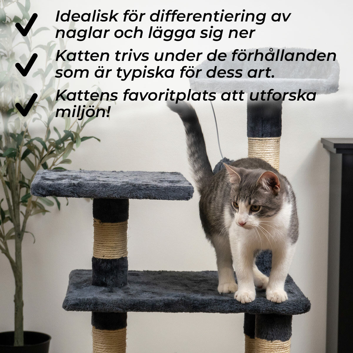 
              Trekker Klösträd Comfy 103cm