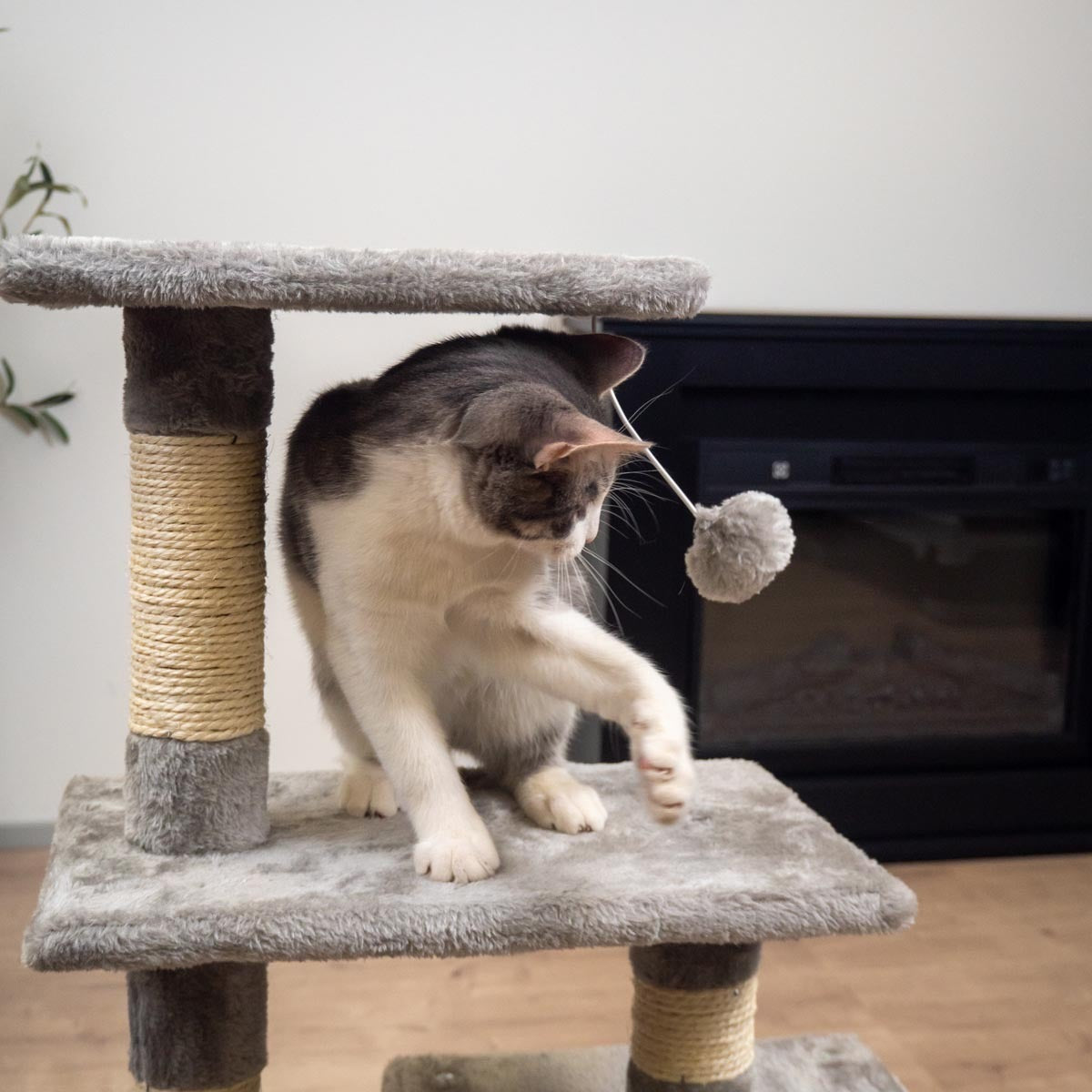 
              Trekker Klösträd Basic 80cm