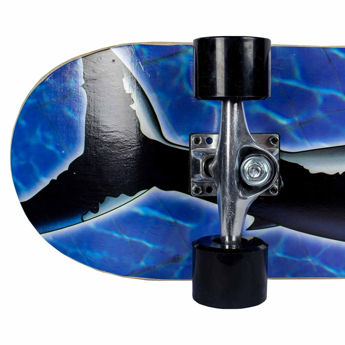 Sandbar skateboard Shark 31X8"
