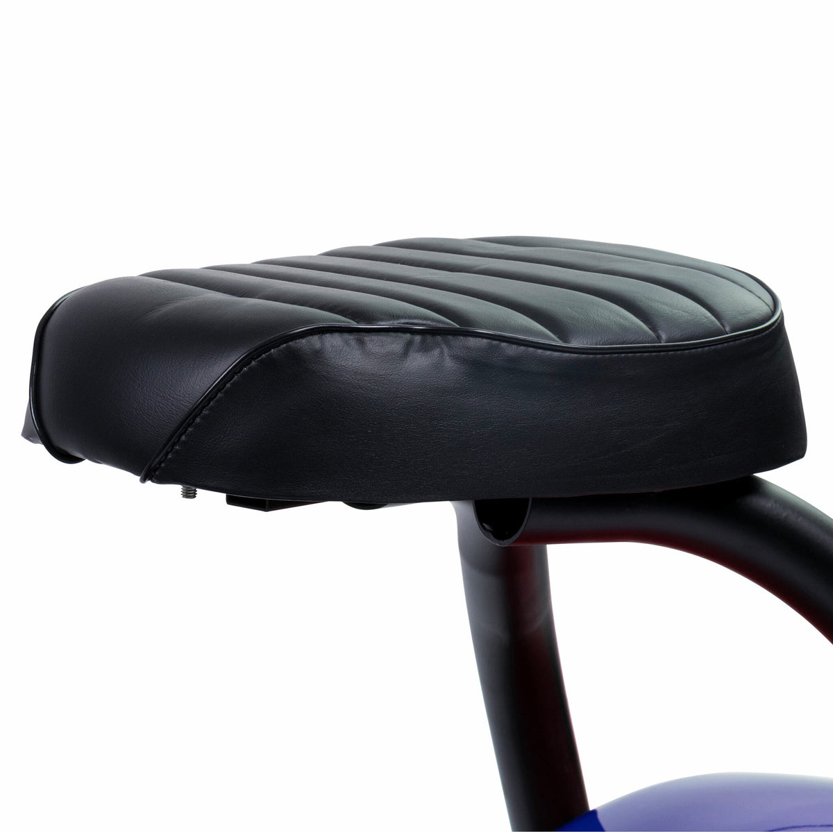 
              Swoop Kruiser elscooter N2, blå