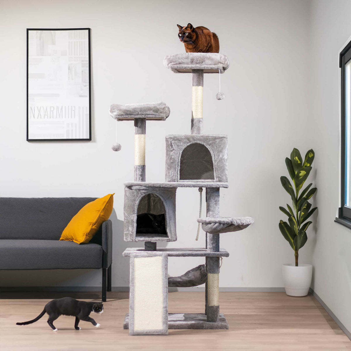 
              Trekker Klösträd Rufus 161cm