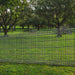 Fornorth staket 1730x2500mm, trådtjocklek 4mm, svart